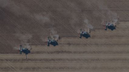 tractors plow a field