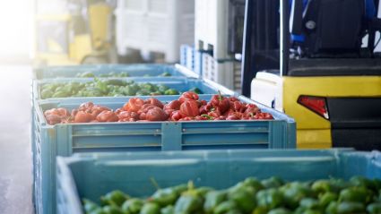 Green and red peppers in crates ready to be transported to market.