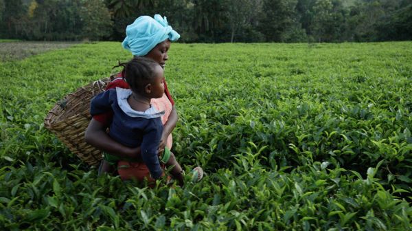 A woman carrying a young child through a field