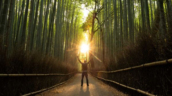 person with hands raise in air on tree-lined dark path, with sun shining at end of path