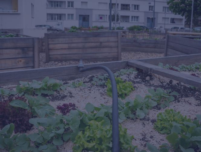 An allotment