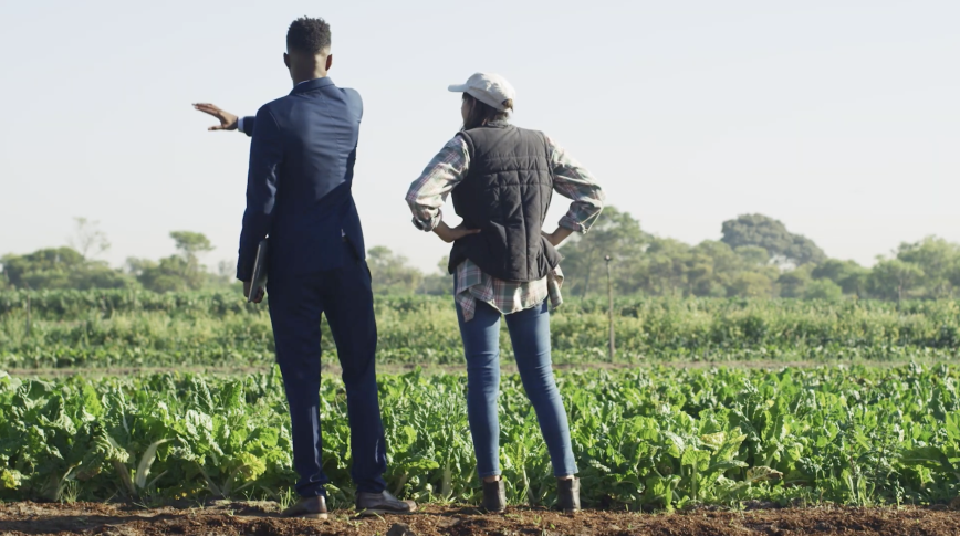 A business professional and a farmer overlooking a field of crops