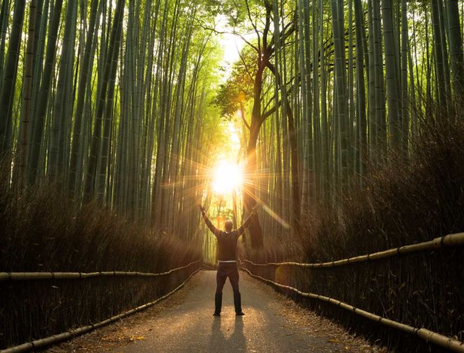 person with hands raise in air on tree-lined dark path, with sun shining at end of path