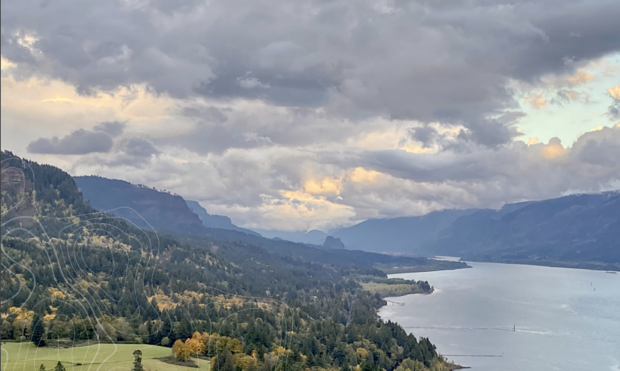 An aerial view of mountains and trees alongside a lake