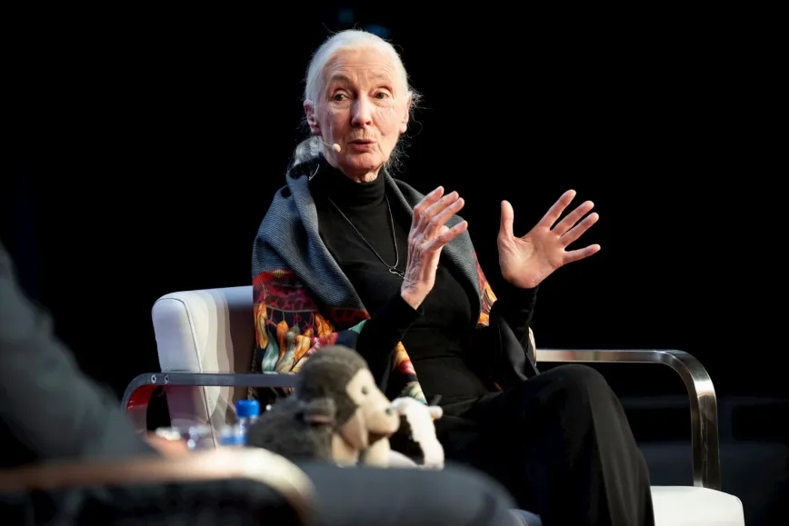 Jane Goodall