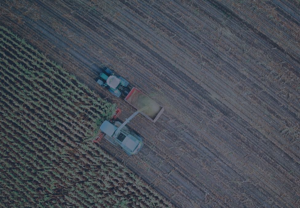 tractors in a field