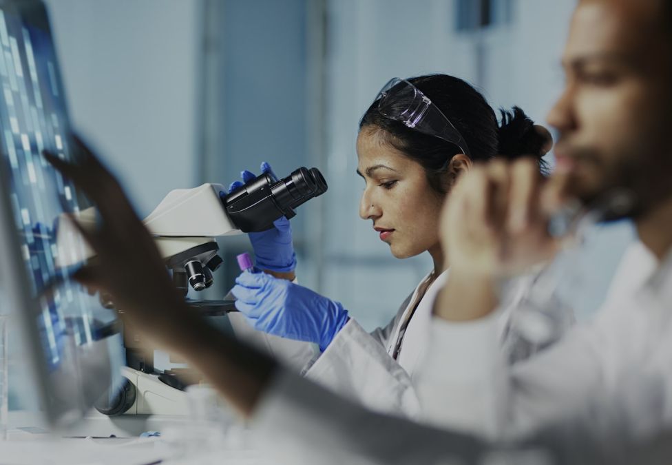 Two scientists looking at images