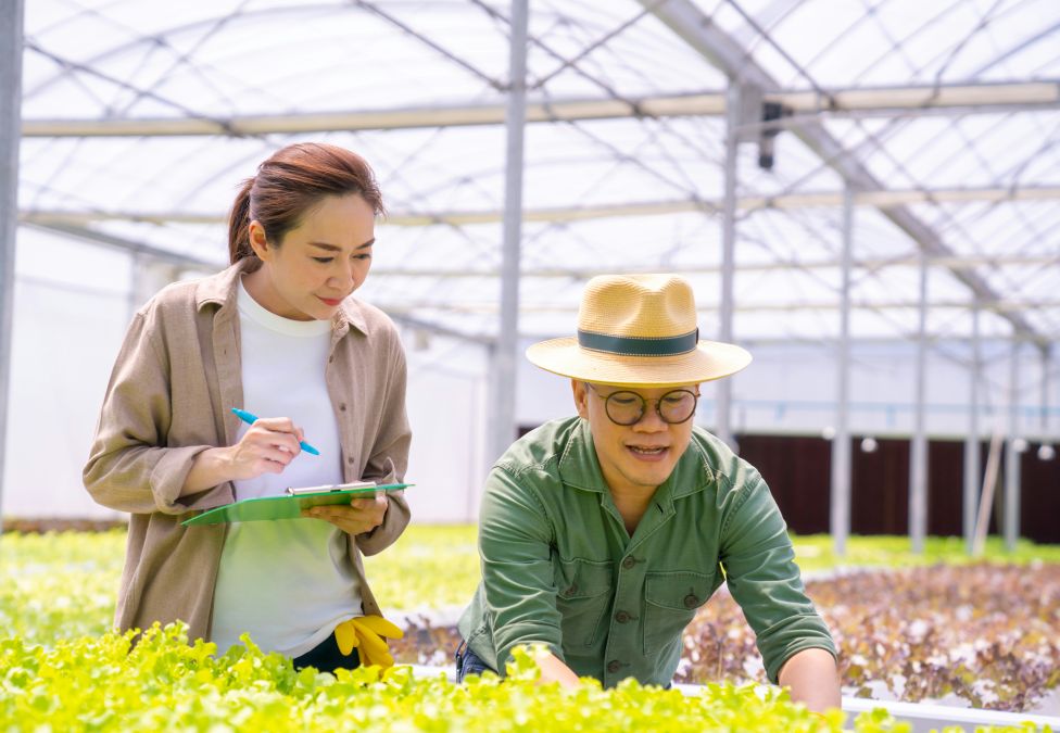 A female and male of Asian heritage work in a greenhouse inspecting plants